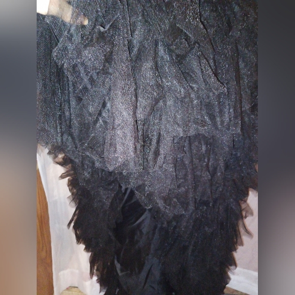 Women Tulle Lace Mesh Gown/dress - Picture 8 of 10